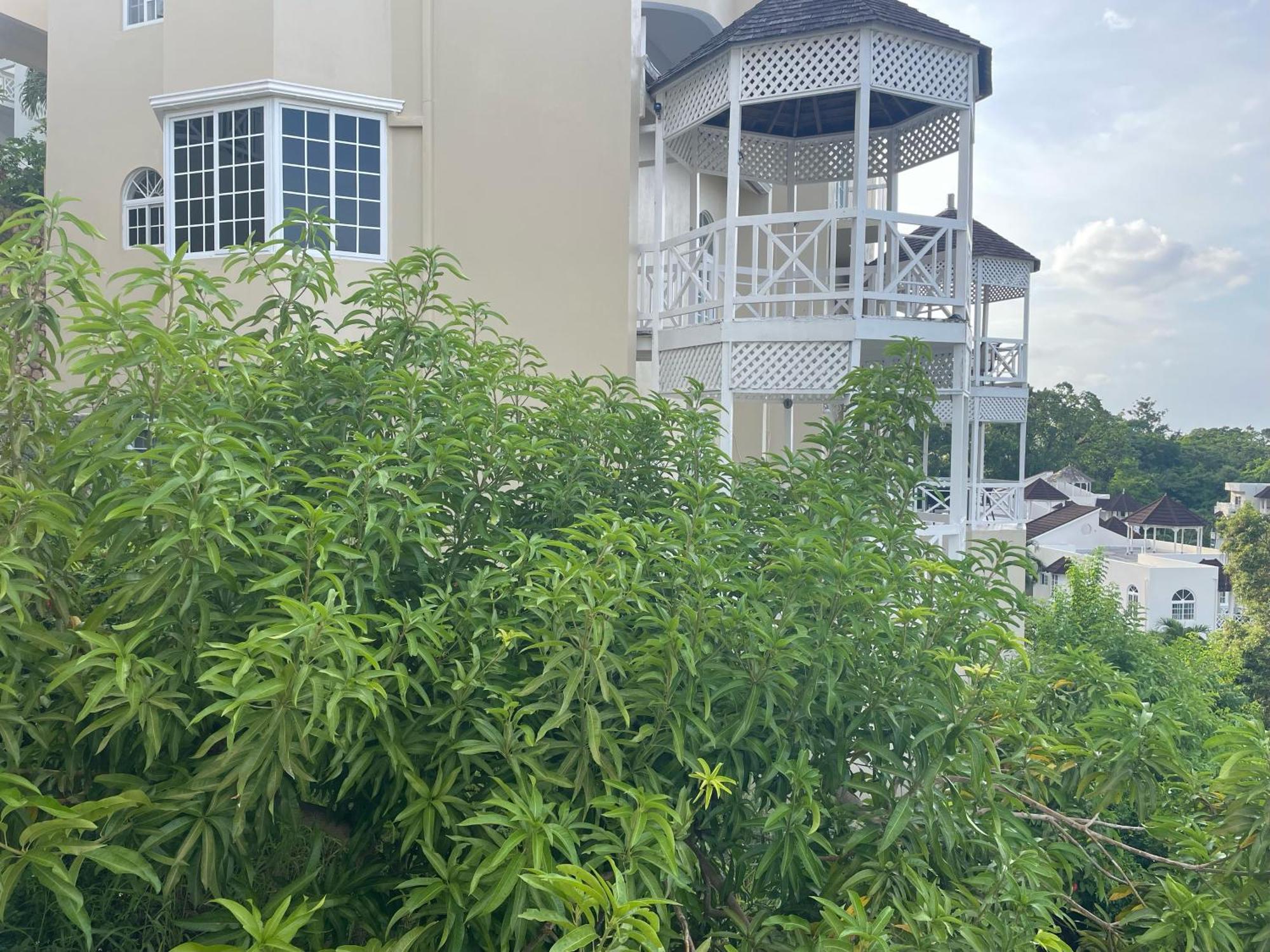 Oceanbreeze Jamaica Penthouse, 7-Minute Walk To Beach Ocho Ríos Extérieur photo