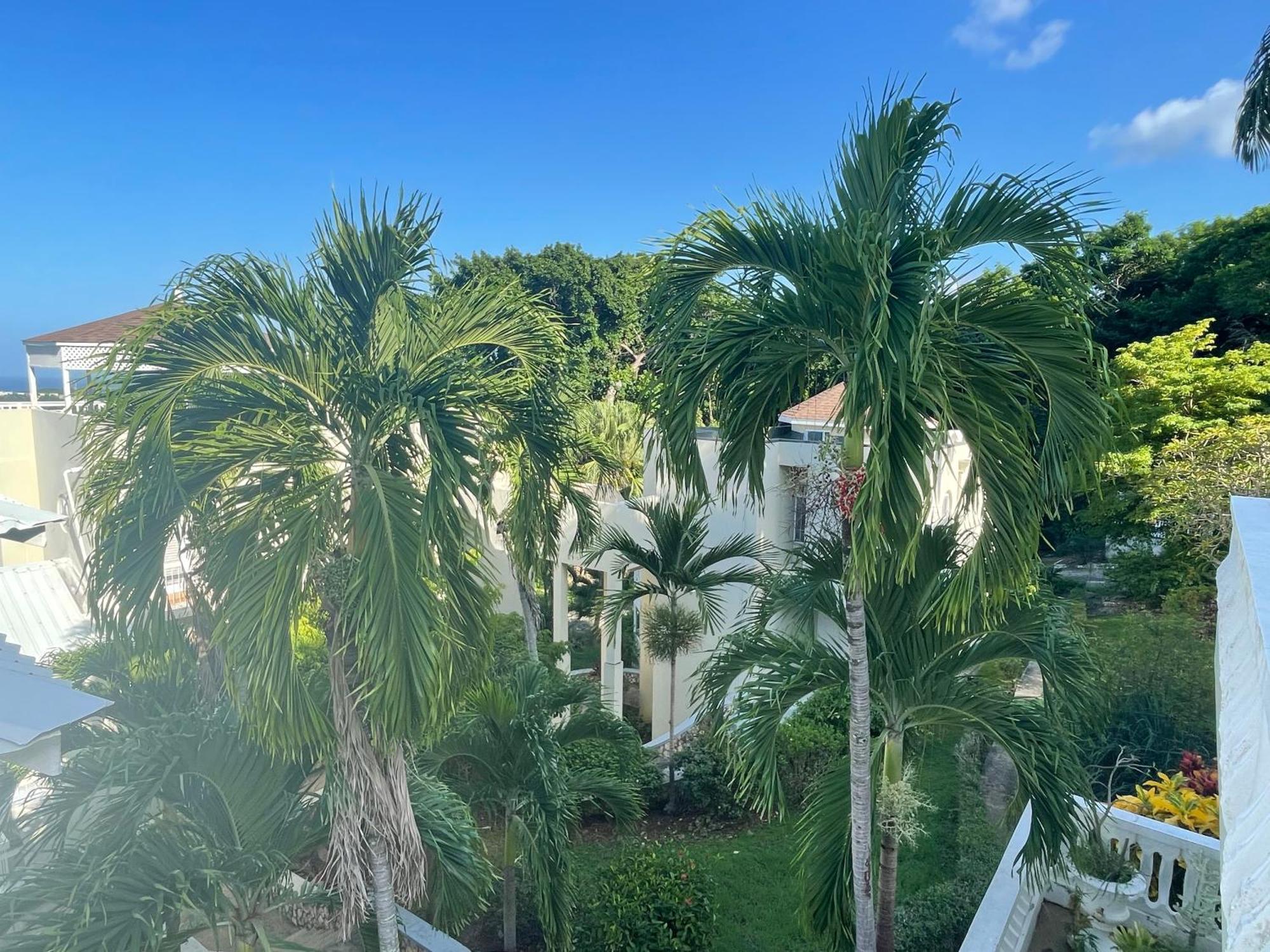 Oceanbreeze Jamaica Penthouse, 7-Minute Walk To Beach Ocho Ríos Extérieur photo
