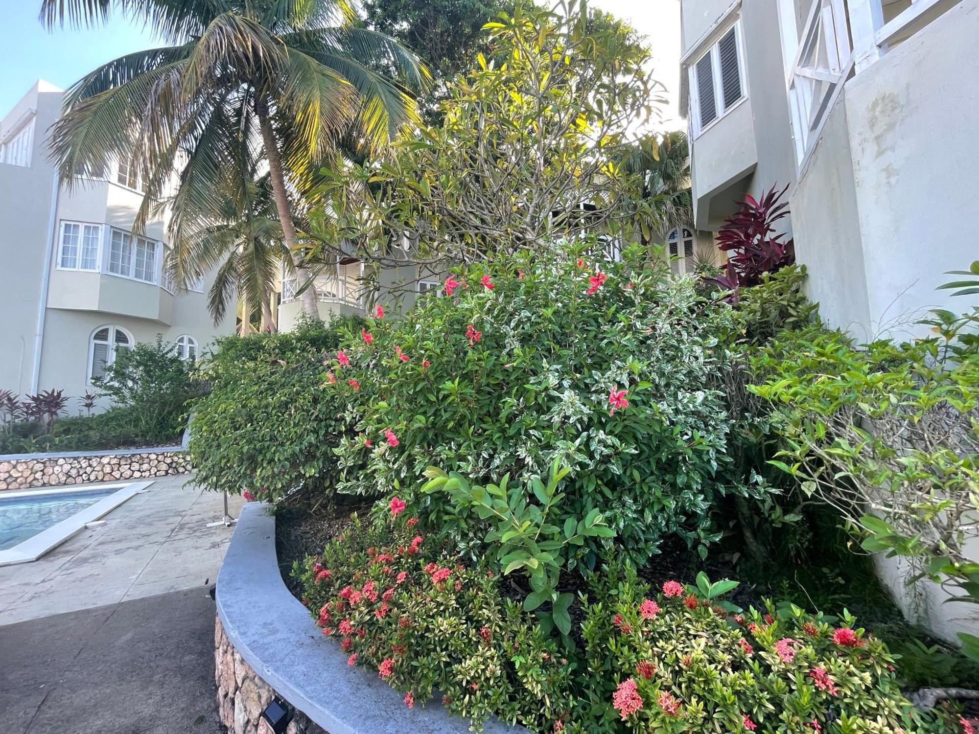 Oceanbreeze Jamaica Penthouse, 7-Minute Walk To Beach Ocho Ríos Extérieur photo